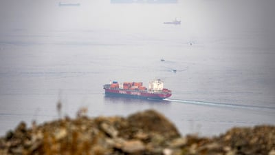Tehran is reportedly using new military tactics to target ships sailing through the Strait of Hormuz. AFP