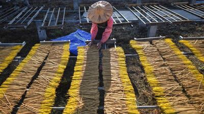 A worker places incense sticks on a wooden platform to dry at the Fujian Xingquan Incense Factory in the city of Quanzhou in China's Fujian Province. AFP