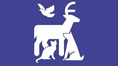 Courtesy The Noun Project