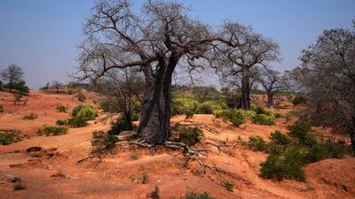 A lack of water caused by climate change, environmental damage and excessive consumption could have catastrophic effects worldwide. AP