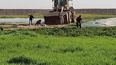 Men trying to collect a body as bulldozer approaches them, along the Gaza-Israel border east of Khan Yunis in the southern Gaza Strip. AFP