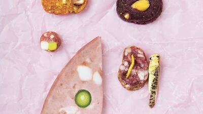 The Sausage of the Future by Carolien Niebling. Noortje Knulst