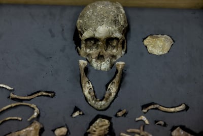 Decades after discovery, 'Lucy continues to be an inspiration', says Johanson. Getty