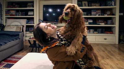 The bill has sparked criticism in the press, mockery on social networks and anger among residents of the capital.