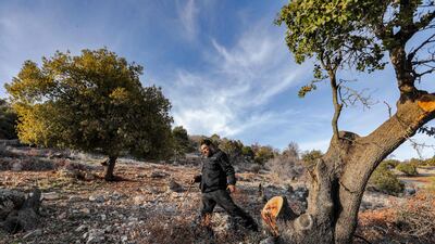 Samir, a volunteer, said the patrols were effective. 'We haven't seen a single case of illegal felling since we began patrolling', he said