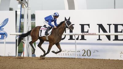 Etijaah will be in action when horse racing returns to Meydan Racecourse, Dubai, on Thursday, November 3, 2016. Antonie Robertson / The National
