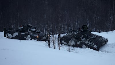 Finnish and Swedish troops took part in Nato drills in the Arctic Circle last spring. Reuters