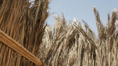 An arish house in Liwa, where 800 houses built from palm leaf once stood