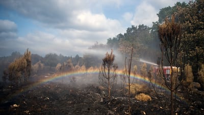 Firefighters extinguish a blaze in Le Tuzan, the Gironde. Bloomberg