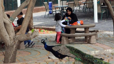 Women do a lot of work that often goes unnoticed by men. Ravindranath K / The National