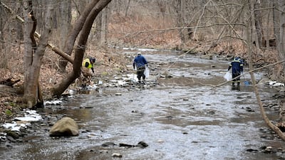 An environmental company removes dead fish downstream from the site of the train derailment in East Palestine, Ohio. Reuters