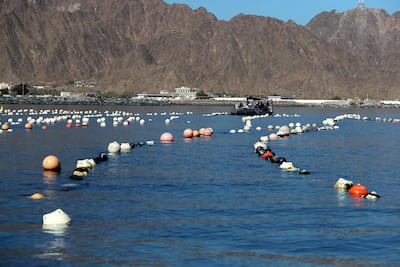 Fujairah, United Arab Emirates - Reporter: Kelly Clark. News. The ocean farm. Visit to the Dibba Bay Oysters farm in Fujairah. Dibba, Fujairah. Wednesday, January 13th, 2021. Chris Whiteoak / The National