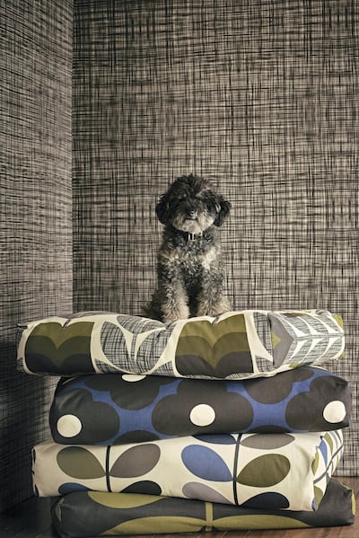 Patterned prints from Orla Kiely
