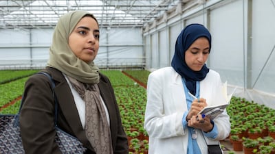 A visit by UAE government officials to the Netherlands on agriculture, technology and educational cooperation is set to lead to exchange programmes, food security technology initiatives between both countries. Photo: Rolf van Koppen