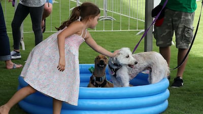 A young girl cools her dogs at the pet water station at the Abu Dhabi Pet Festival held at du Arena on Yas Island. Pawan Singh / The National.