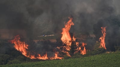 At least 16,000 hectares of land have been burnt, with the bushfire mainly affecting the Aude region. EPA