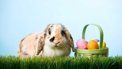 The Easter Bunny has long been a staple for children around the world. Getty Images