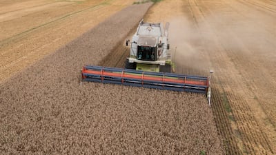 FILE - Harvesters collect wheat in the village of Zghurivka, Ukraine, on Aug. 9, 2022. Agreements that the U. N. and Turkey brokered with Ukraine and Russia to allow food and fertilizer to get from the warring nations to parts of the world where millions are going hungry have eased concerns over global food security. But they face increasing risks. Moscow has ramped up its rhetoric, saying it may not extend the deal that expires Monday July 17, 2023, unless its demands are met. (AP Photo / Efrem Lukatsky, File)