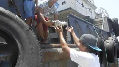 Stranded seafarers receive eggs as part of food supplies delivered by welfare group Mission to Seafarers. Courtesy Mission to Seafarers