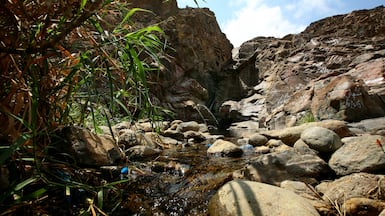 Wadi Wurayah became the UAE's first national park in 2013. Photo: The National