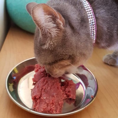 Furchild offers raw and healthy food options to pets around the UAE. Courtesy Furchild