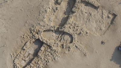 Marawah Island Archaeological Site. Courtesy Department of Culture and Tourism – Abu Dhabi