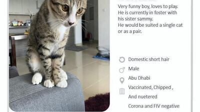 Courtesy Rescue of Abu Dhabi