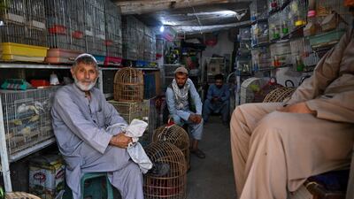 Bird vendors waiting for customers.