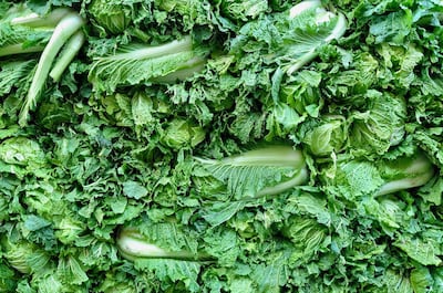 A pile of fresh cabbages for sale on a street corner in Beijing. Courtesy James Langton