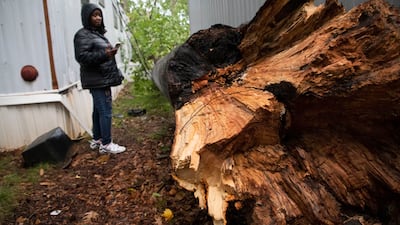 This tree came crashing down at a mobile home park in Charlotte, North Carolina. The Charlotte Observer / AP