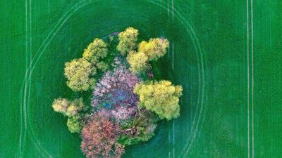 An aerial view shows a pond surrounded by trees in a field near Sieversdorf, Brandenburg, Germany. Such natural environments form ecologically valuable habitats in heavily used agricultural areas. Patrick Pleul / EPA