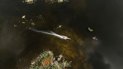 A fishing boat in the Hawizeh Marshes. Hawizeh is a trans-boundary marsh shared by Iraq and Iran