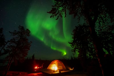 While the northern lights are unpredictable, the best time to see them is between September and April. AP