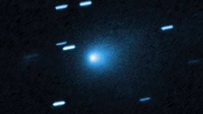 The Hubble Space Telescope captured this image of the comet 31/Atlas when it was 445,787km from Earth on July 25. Photo: Hubble Space Telescope / Nasa