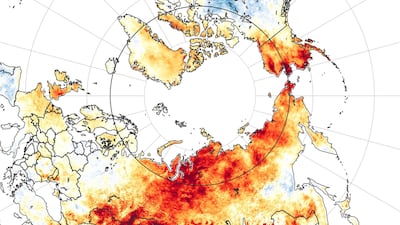 A NASA map showing land surface temperature anomalies from 19 March to 20 June 2020). Red colors depict areas that were hotter than average for the same period from 2003-2018. Siberia, famous for cold wintertime temperatures, saw its town of Verkhoyansk report a daytime temperature of 38 degrees Celsius on June 20. EPA