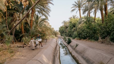 Exploring the date and mango groves along the west bank of the Nile.