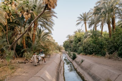 Exploring the date and mango groves along the west bank of the Nile. Erin Clare Brown / The National