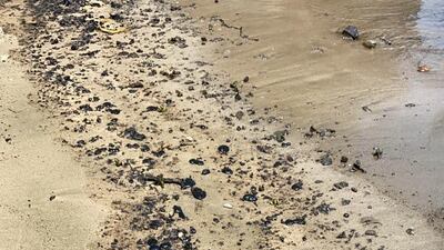 Officials say the clean-up will last several days. Courtesy: Kalba Fishermen's Association