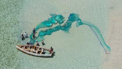 An image from George Steinmetz's 'Global Fisheries Harvesting Marine Wildlife' series of overfishing in Inhambane, Mozambique. Photo: George Steinmetz