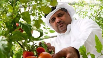 Ali Bukarrood has converted half of his land to hydroponic greenhouses and is experimenting with new techniques to tackle some of farming's toughest challenges.