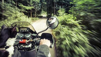 German traveller Martin Klauka along with his cat Mogli. Photo: Sasch Xaver