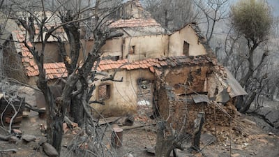 A damaged building on a scorched hill after a wildfire that swept through Algeria's northeastern Jijel province last week. AFP