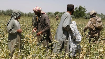 ISIL’s involvement in the illicit drugs trade to earn money to pursue its twisted agenda is just more proof of its hypocrisy and just how far from Islam the group really is. Asmaa Waguih / Reuters