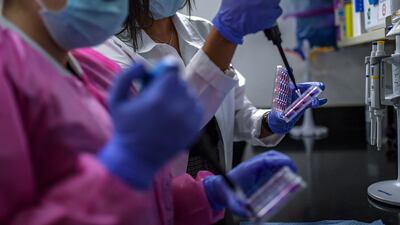 Scientists in the UK aim to identify stem cell super donors from existing donor registries. AFP