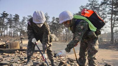 Soldiers try to put out a fire still in smouldering debris after the area was hit by a forest fire in Goseong. Yonhap / AFP