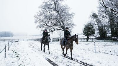 Horses on the gallops in the snow at Sam Drinkwater's Granary Stables in Upper Strensham, Worcester. PA
