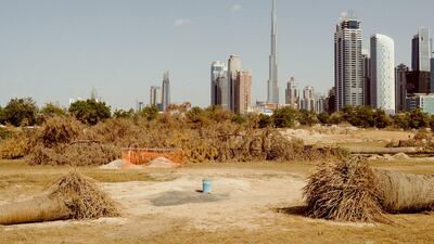 Safa Park, Dubai, in 2015. Alex Atack