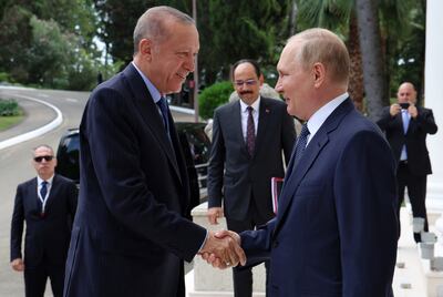 Turkey has positioned itself as a mediator between Russia and Ukraine. EPA
