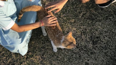 Children play with one of the regular feline visitors to the park.