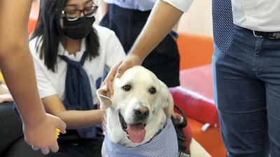 Children can play with the dog every Sunday and Thursday.